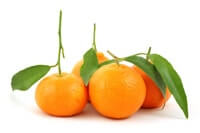 Tangerines provide Vitamin C and promote women's health, says Periodontist in Pittsburgh PA